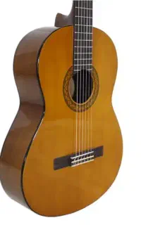گیتار c40