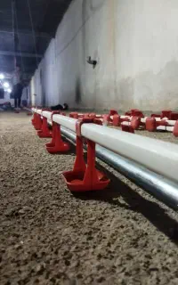 ابخوری دانخوری اتوماتیک