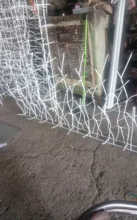 حفاظ شاخ گوزنی