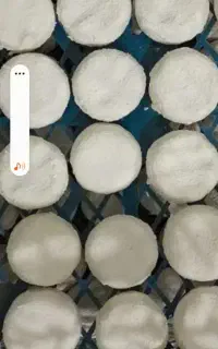کشک تازه