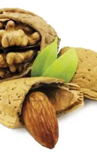 بادام تازه و شیرین وخشک