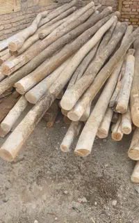چوب خشک طاقی