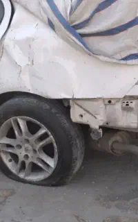 سمندتصادفی مدل ۹۰