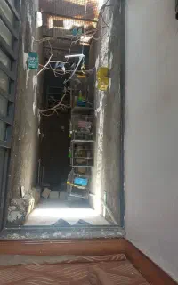 پذیرش واگذاری پرنده خانگی شما