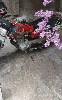موتور رهرو ۲۰۰ استارتی