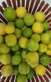 آبلیمو تازه