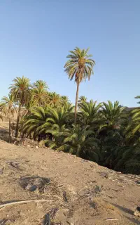 کار یابی