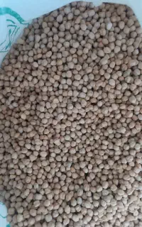 خریدوفروش نخود وعدس