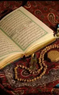 یه دعا نویس میشناسم کارش تضمینی
