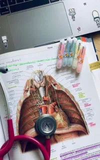 مشاوره تخصصی کنکور تجربی