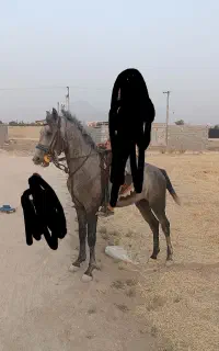 خرید فروش اسب تا سقف35