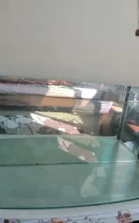 آکواریوم