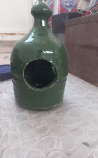 آب دونی کفتر و مرغ