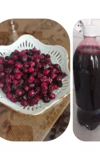 شربت آلبالو و آلبالوی خشک فولادمحله