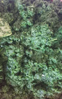 سبزی قورمه وآش ودلمه