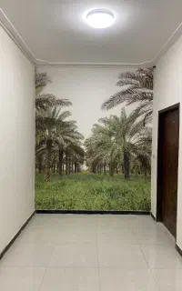 فروش و نصب کاغذ دیواری و نقاشی ساختمان