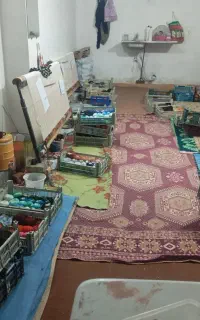 کارگاه فرش کامپیوتری