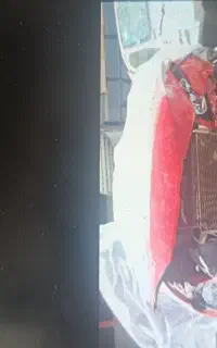 ۲۰۶ مدل ۹۸ بدون رنگ