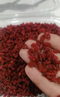 زرشک وزعفران قائنات