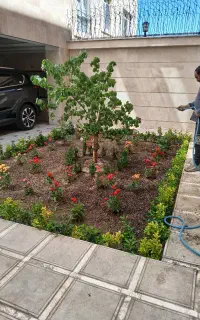 خدمات باغبانی هرسکاری سمپاشی کل کار باقیمت مناسب
