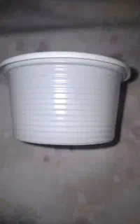طرف یکبار مصرف