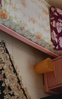 تخت یکنفره