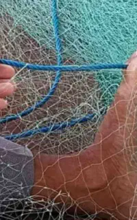 تور صبور جی پی اس ۴۲Dv