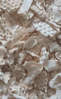 نون خشک اعلا پاک شده