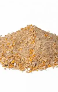خوراک دام و طیور