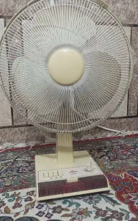 پنکه زمینی