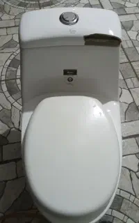 توالت فرنگی