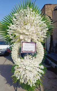 ب قیمت بازار گل تاج گل کد ۵۰۰