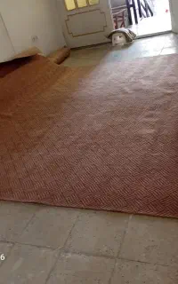 موکت