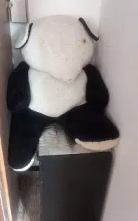 خرس پاندا بزرگ با پرده