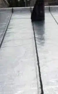 ایزوگام