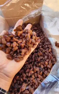 مویز و کشمش سرکه ای و غیره..