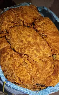 برگ زرد. اصل بنیاد