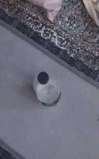 موکت