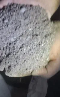 کود خفاش صددرصد طبیعی