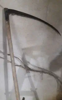 داس بلند کارانتو شامل