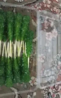نبات رنگی مخصوص محرم و صفر و نبات دمنوشی