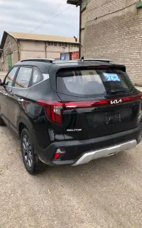 کیا سلتوس منطقه آزاد انزلی