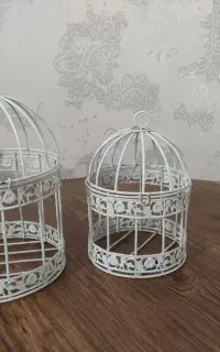 جاشمعی