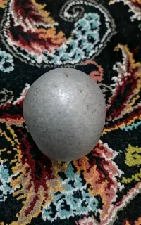 توپ فلزی نقش دار قدیمی سنگین وزن