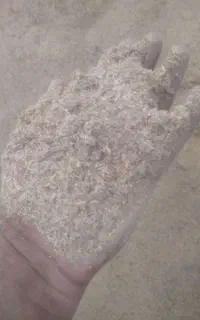 سبوس چلتوک