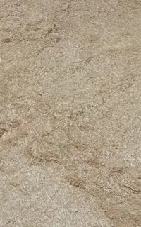 کاه گندم