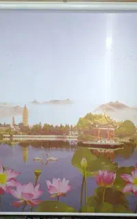 پرده زبرا 4 متری