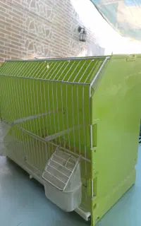 قفس و اتلیه پرنده