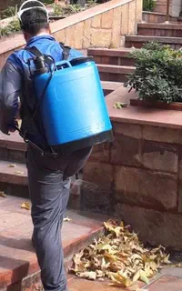 سمپاشی اصولی تضمینی موریانه سوسک ساس موش