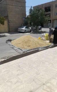 مقداری جو